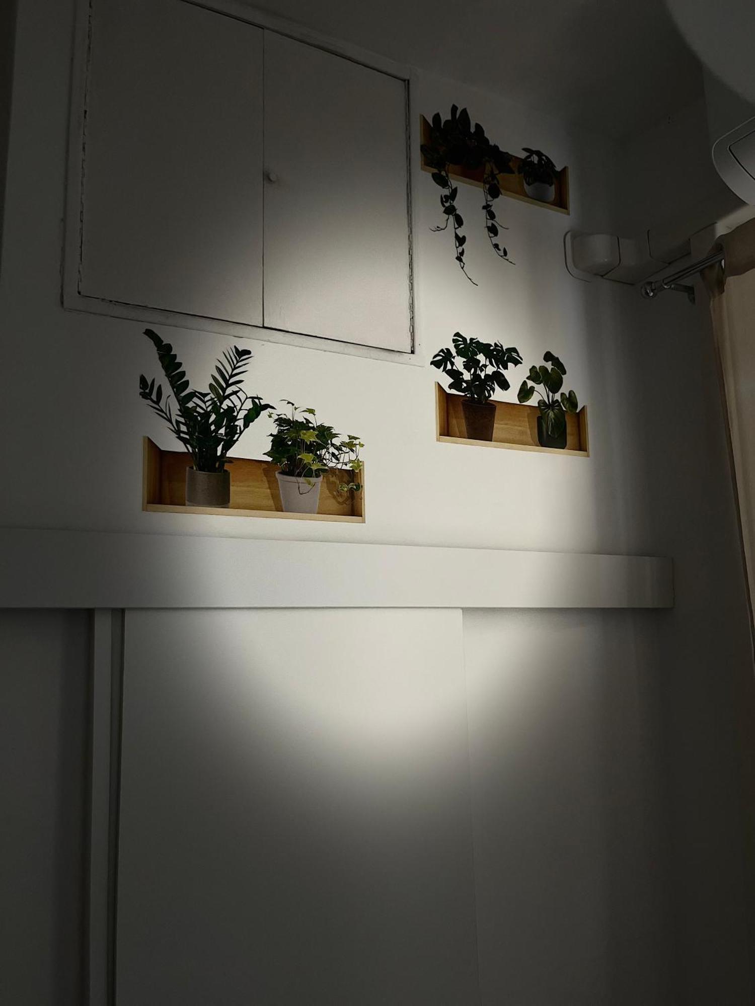 Appia Suite Róma Kültér fotó